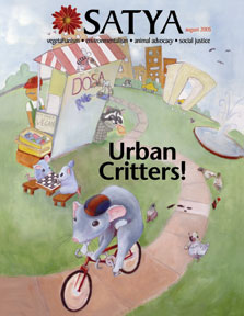 May 2005 cover