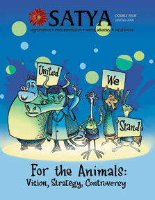 May 2005 cover