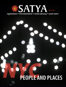 Nov 2005 cover