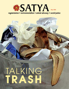 Nov 2005 cover