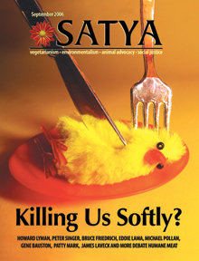 Nov 2005 cover